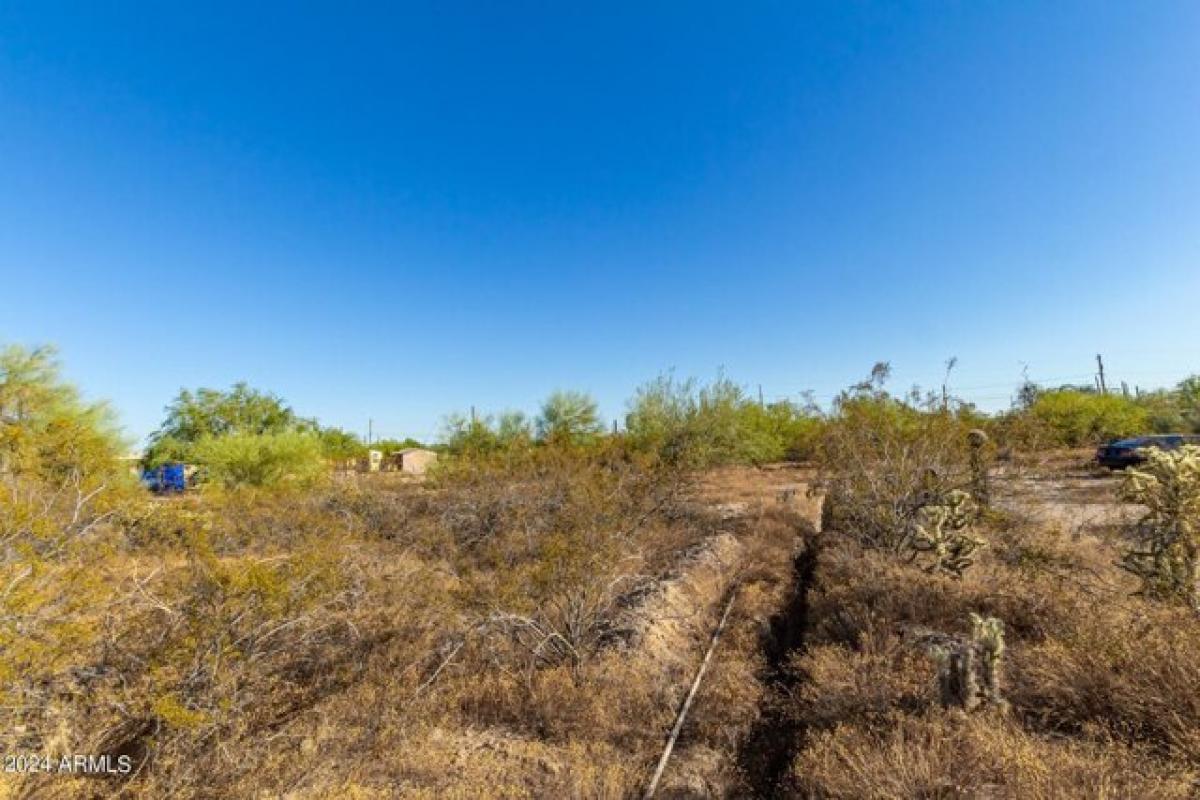 Picture of Residential Land For Sale in Mesa, Arizona, United States