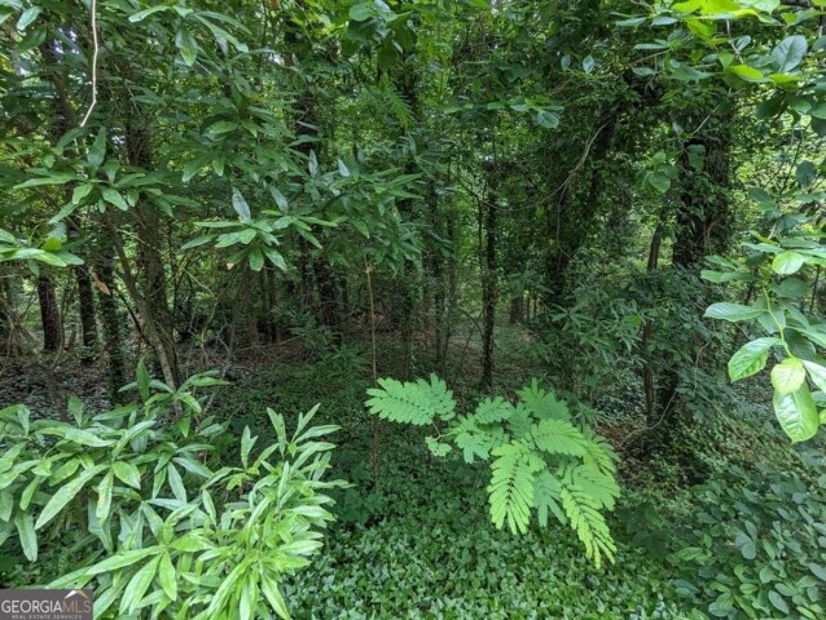 Picture of Residential Land For Sale in East Point, Georgia, United States