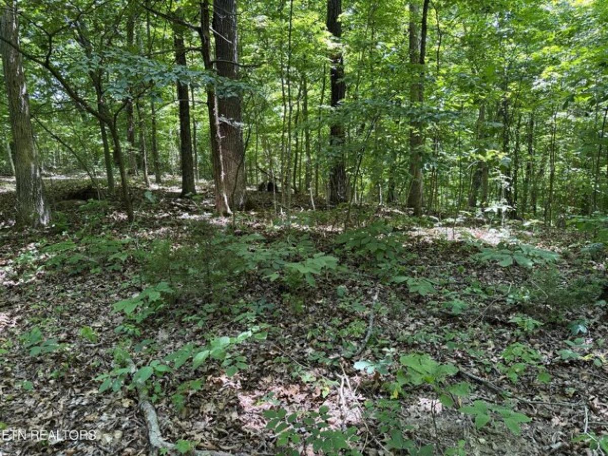 Picture of Residential Land For Sale in Afton, Tennessee, United States