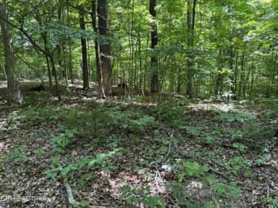 Residential Land For Sale in Afton, Tennessee