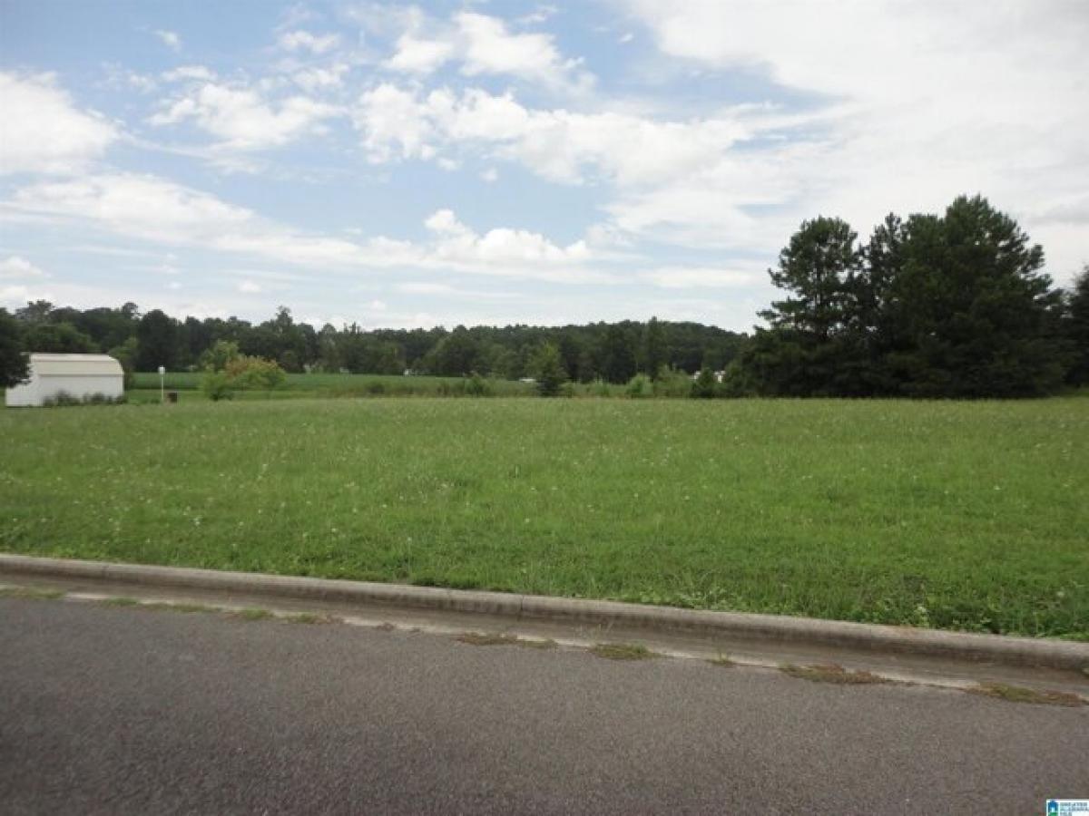 Picture of Residential Land For Sale in Hanceville, Alabama, United States