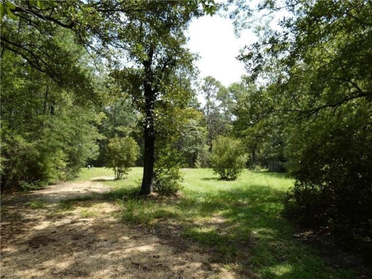 Picture of Residential Land For Sale in Folsom, Louisiana, United States