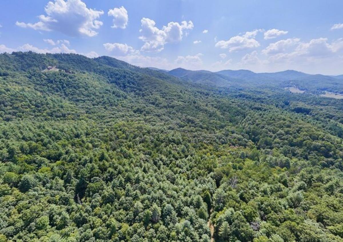 Picture of Residential Land For Sale in Brasstown, North Carolina, United States