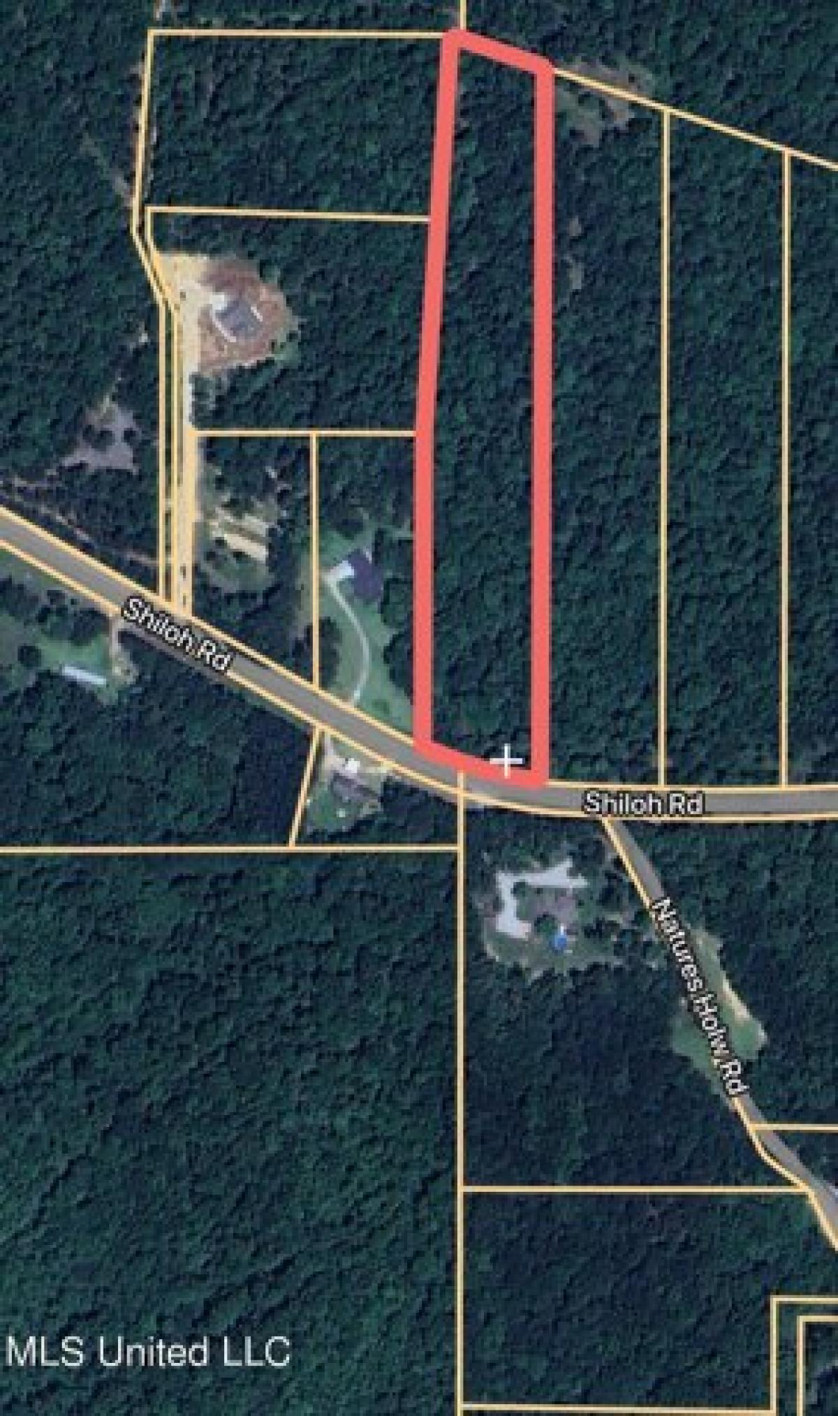 Picture of Residential Land For Sale in Brandon, Mississippi, United States