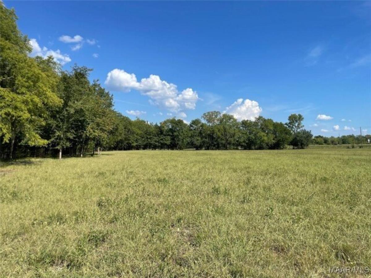 Picture of Residential Land For Sale in Lowndesboro, Alabama, United States