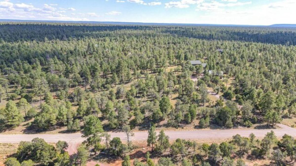 Picture of Residential Land For Sale in Happy Jack, Arizona, United States