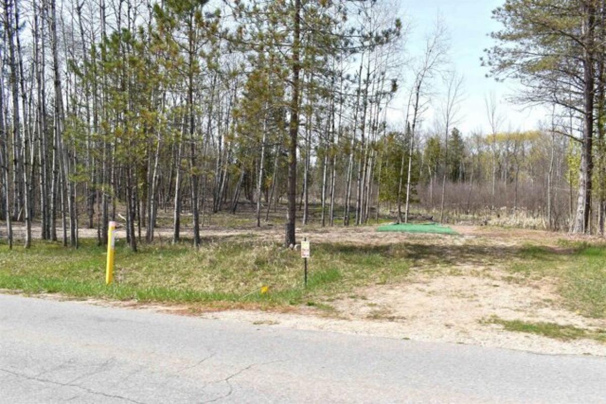 Picture of Residential Land For Sale in Gladwin, Michigan, United States