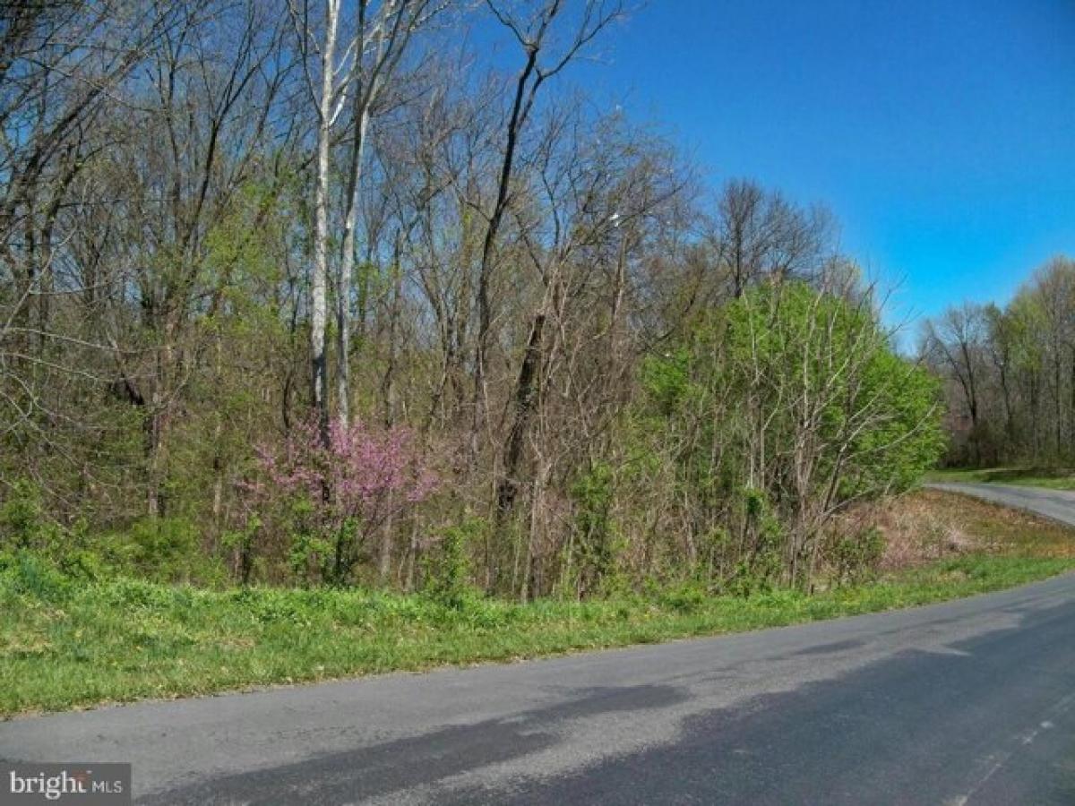 Picture of Residential Land For Sale in Falling Waters, West Virginia, United States