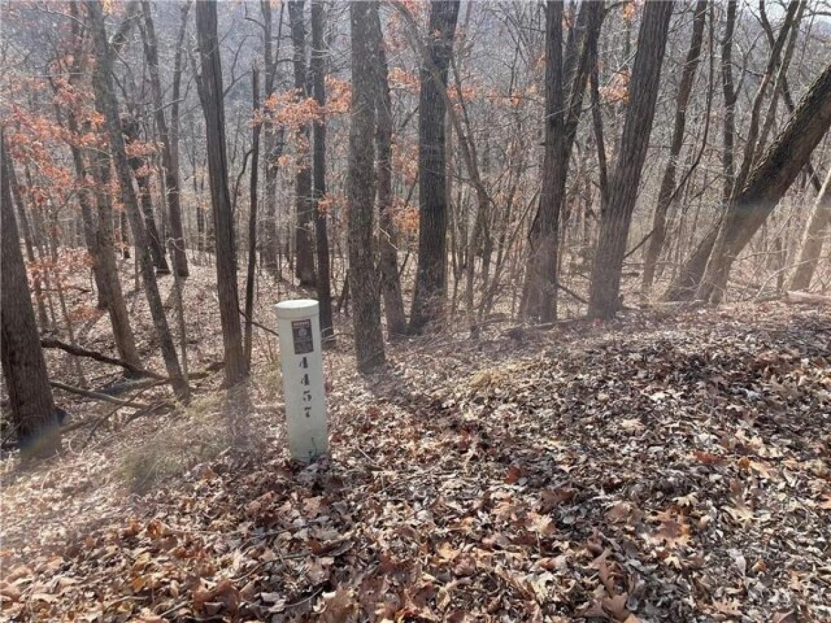 Picture of Residential Land For Rent in Eureka Springs, Arkansas, United States