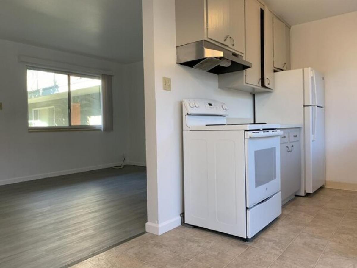 Picture of Apartment For Rent in South San Francisco, California, United States