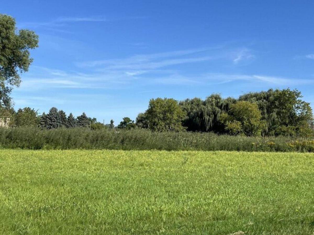 Picture of Residential Land For Sale in Lake Mills, Wisconsin, United States