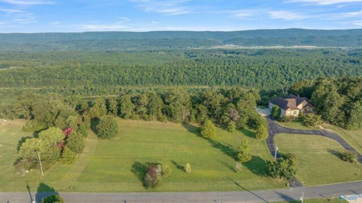 Picture of Residential Land For Sale in Fort Payne, Alabama, United States