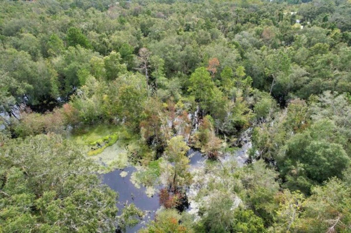 Picture of Residential Land For Sale in Mayo, Florida, United States