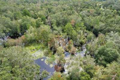 Residential Land For Sale in Mayo, Florida