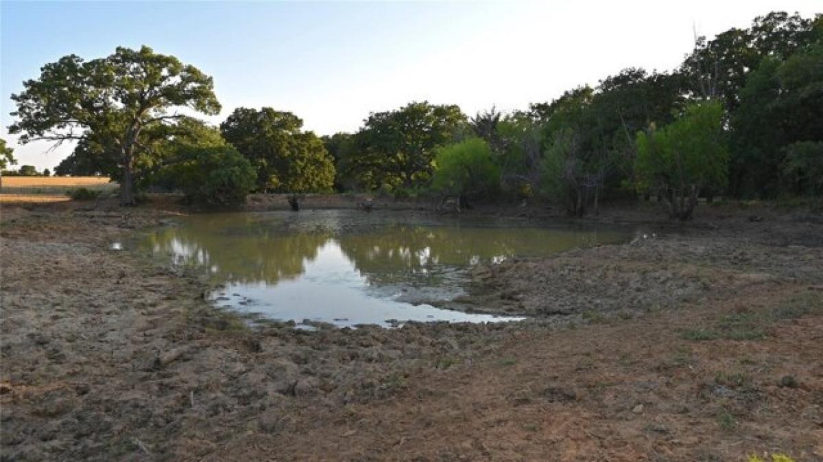 Picture of Residential Land For Sale in Bowie, Texas, United States