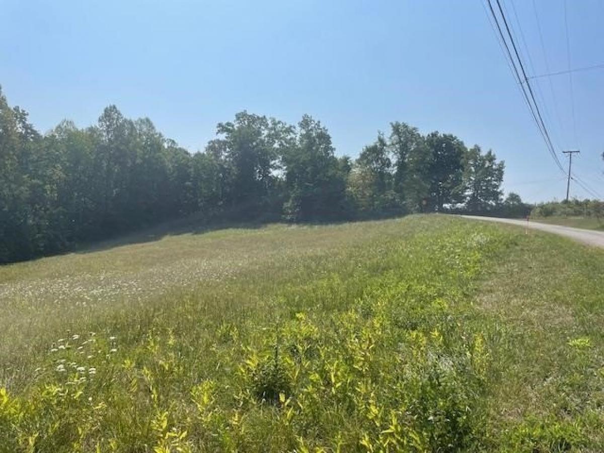 Picture of Residential Land For Sale in Fraziers Bottom, West Virginia, United States