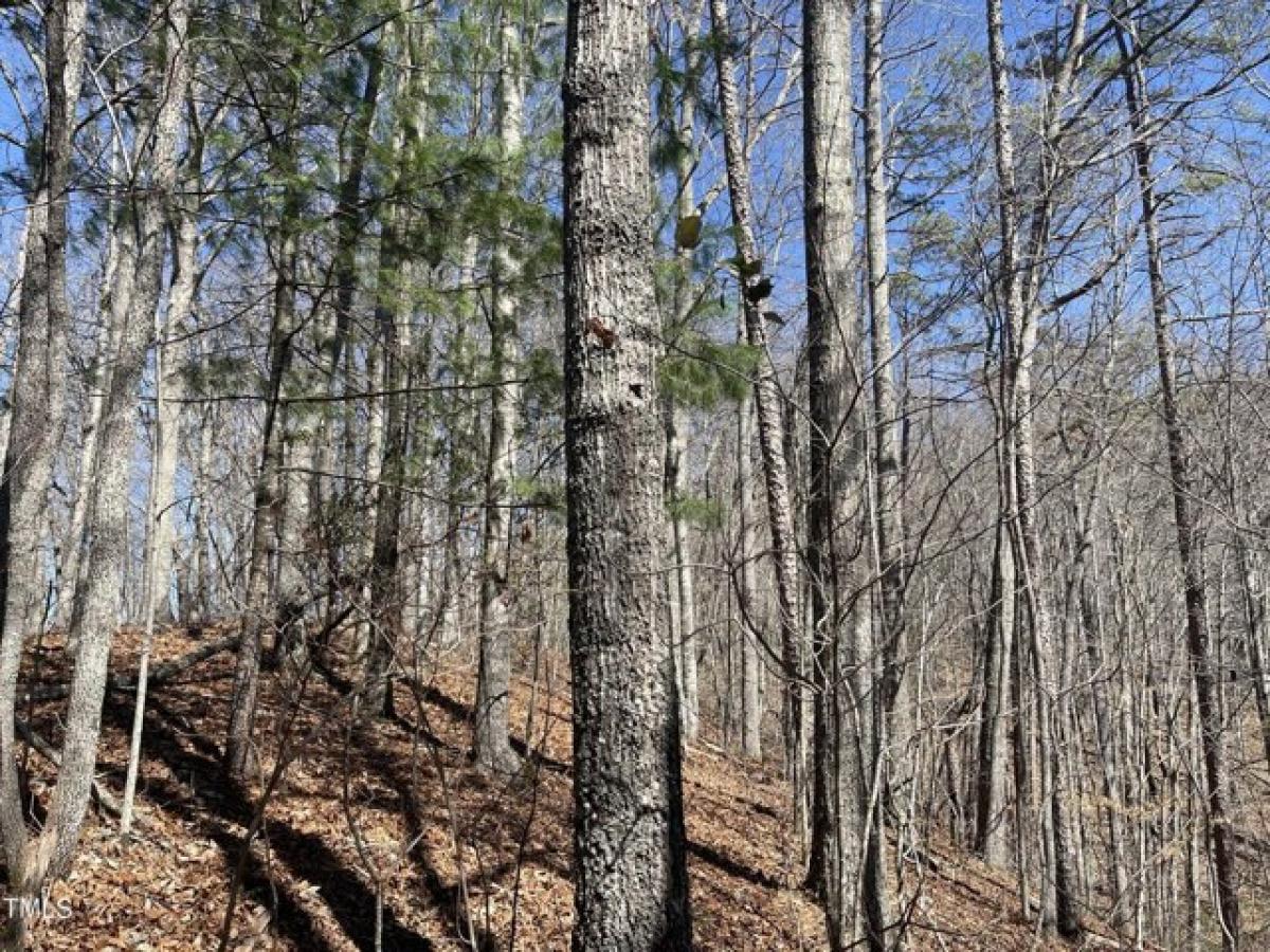 Picture of Residential Land For Sale in Bryson City, North Carolina, United States