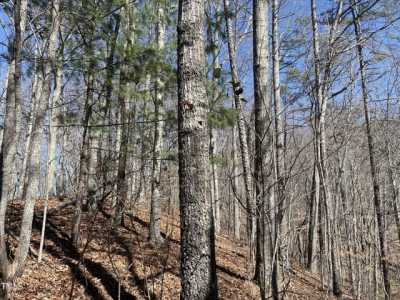 Residential Land For Sale in Bryson City, North Carolina