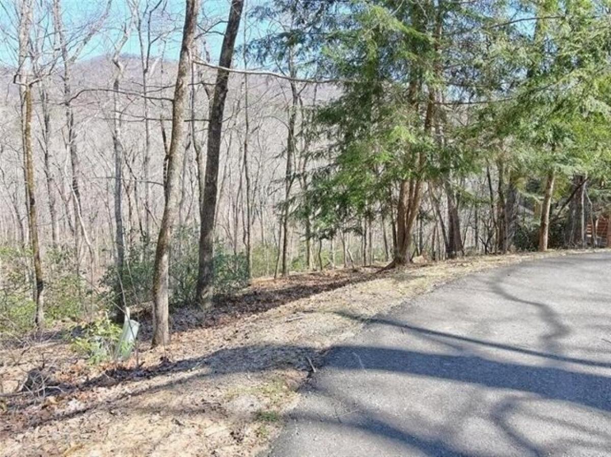 Picture of Residential Land For Sale in Jasper, Georgia, United States