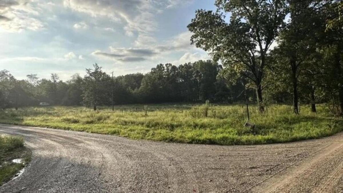 Picture of Residential Land For Sale in West Plains, Missouri, United States