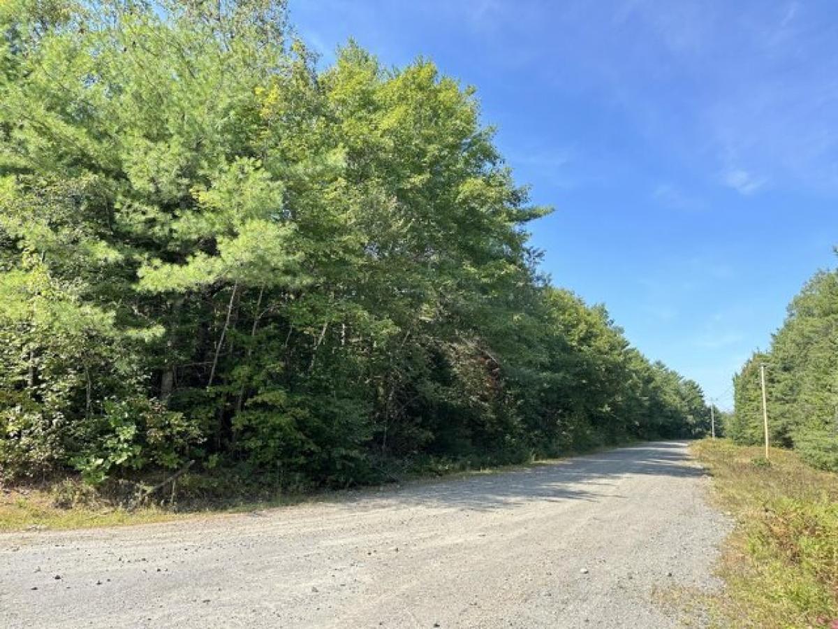 Picture of Residential Land For Sale in Milo, Maine, United States