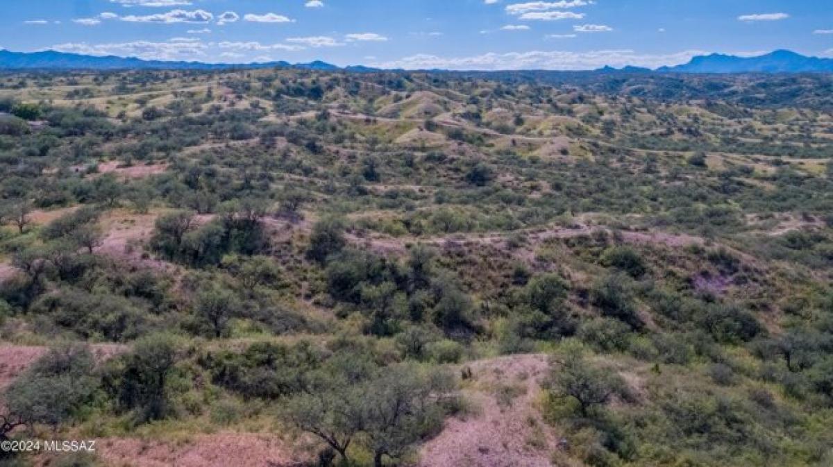 Picture of Residential Land For Sale in Nogales, Arizona, United States