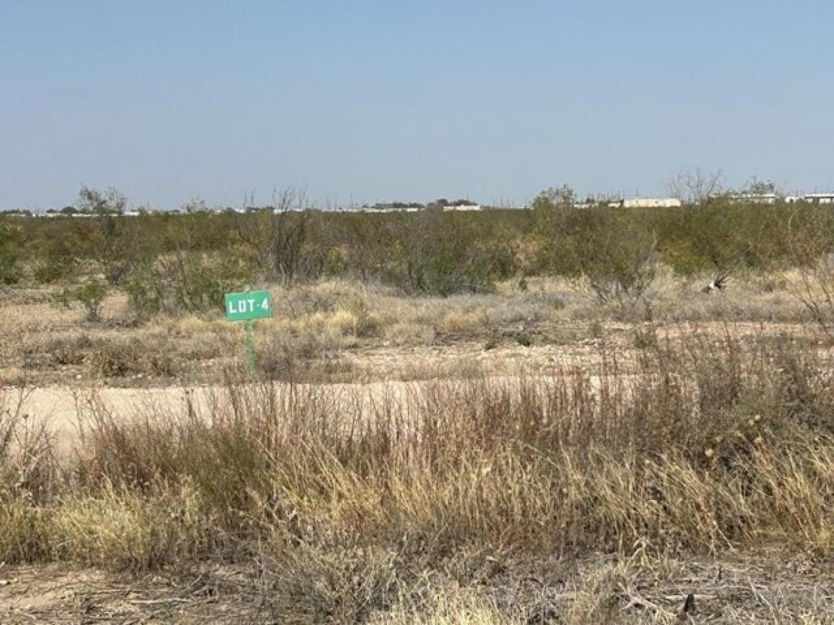 Picture of Residential Land For Sale in Odessa, Texas, United States