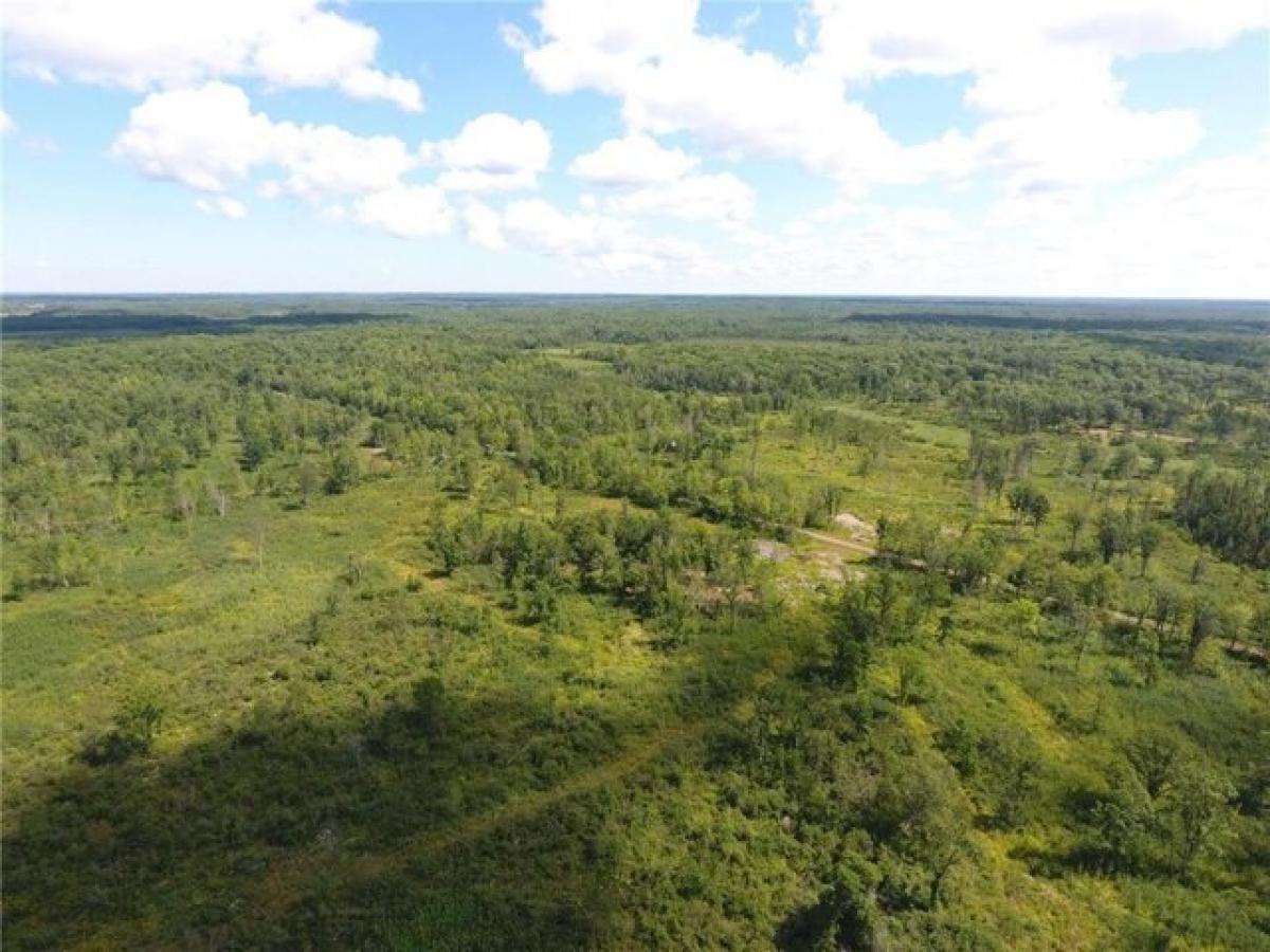 Picture of Residential Land For Sale in Bruno, Minnesota, United States