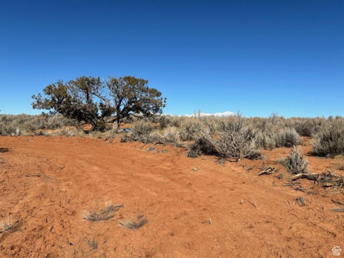 Picture of Residential Land For Sale in Blanding, Utah, United States