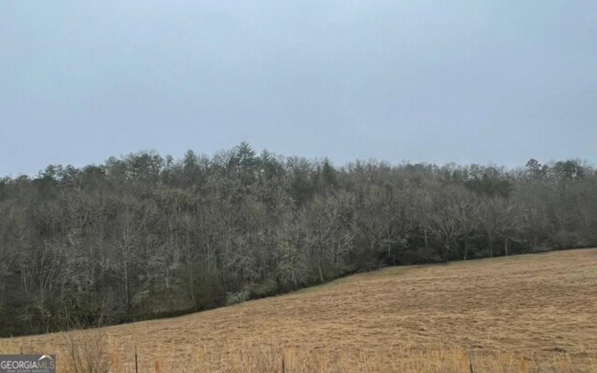 Picture of Residential Land For Sale in Blairsville, Georgia, United States