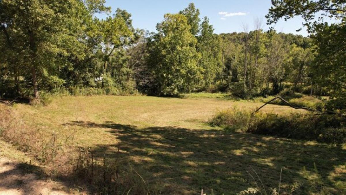 Picture of Residential Land For Sale in Seymour, Missouri, United States