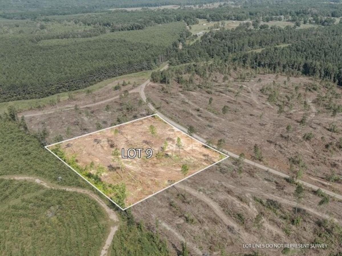 Picture of Residential Land For Sale in Mount Olive, Mississippi, United States