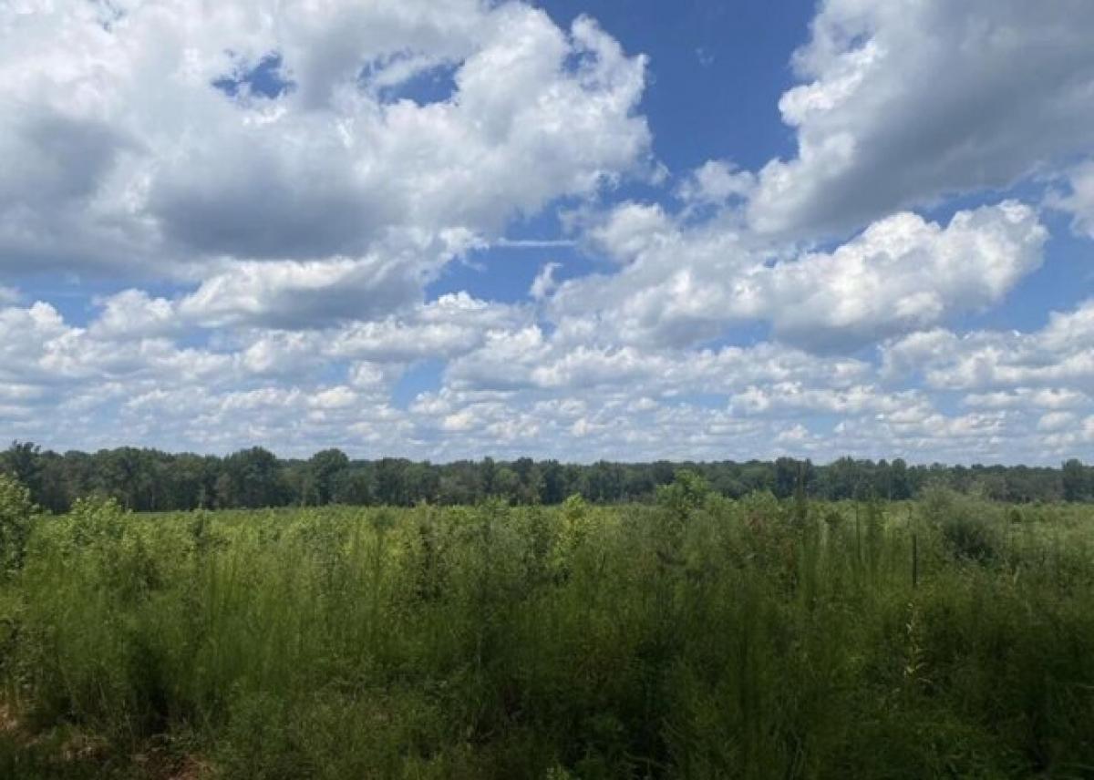 Picture of Residential Land For Sale in Troy, South Carolina, United States