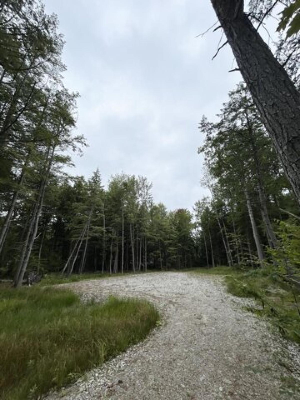 Picture of Residential Land For Sale in Oxford, Maine, United States