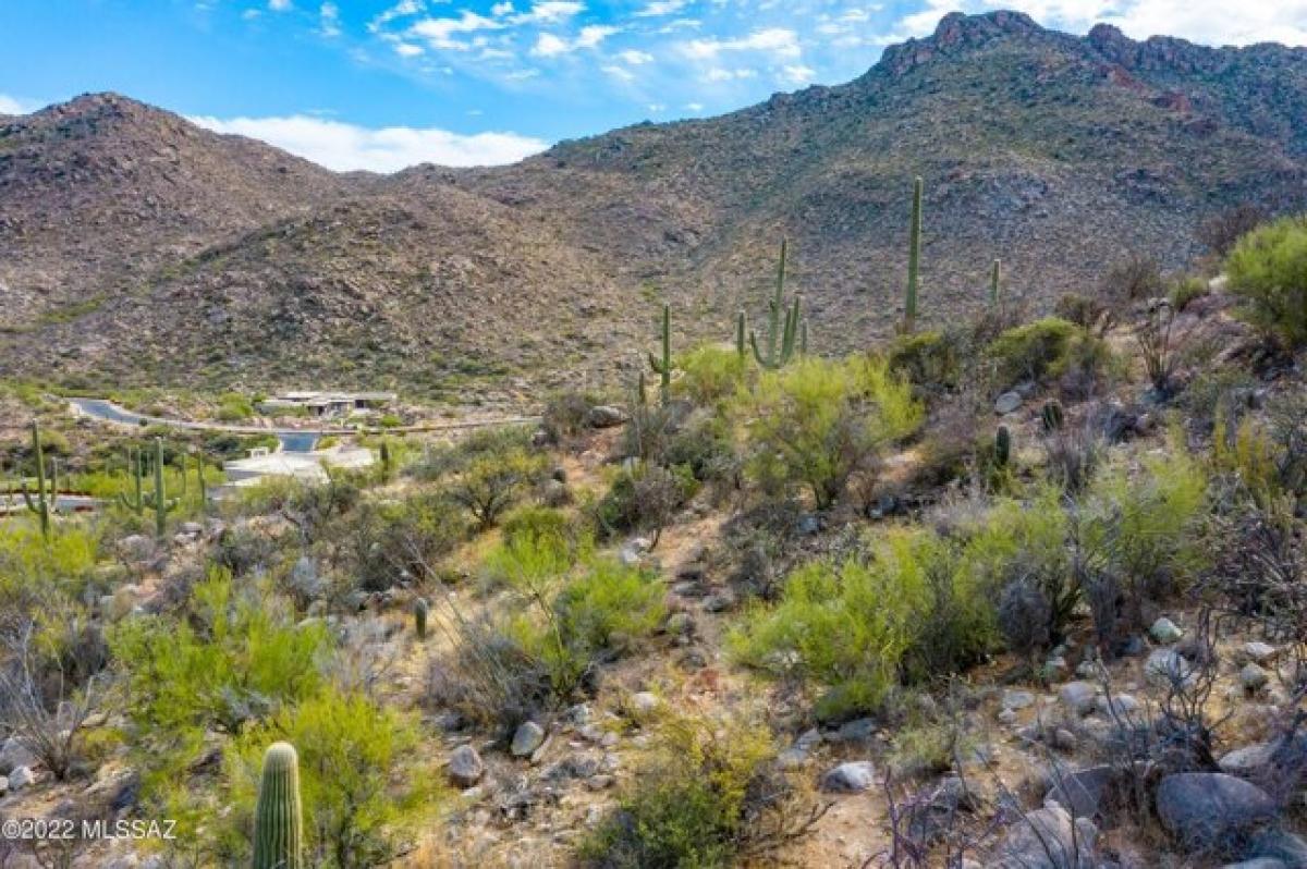 Picture of Residential Land For Sale in Marana, Arizona, United States