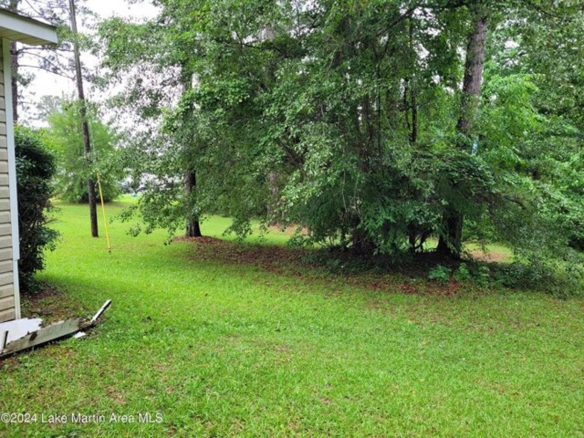 Picture of Residential Land For Sale in Eclectic, Alabama, United States