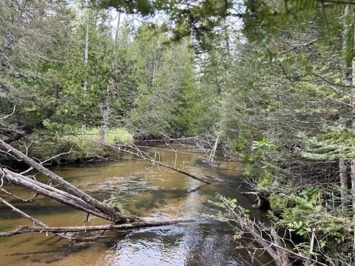 Picture of Residential Land For Sale in Gaylord, Michigan, United States