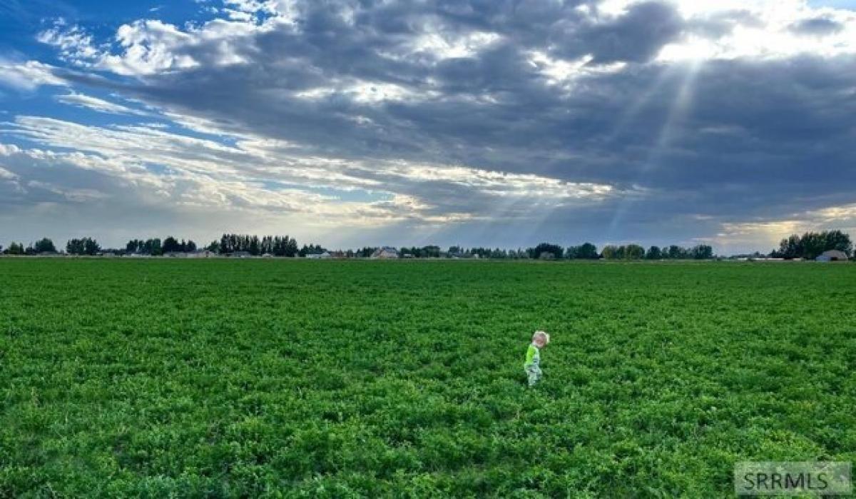 Picture of Residential Land For Sale in Rexburg, Idaho, United States