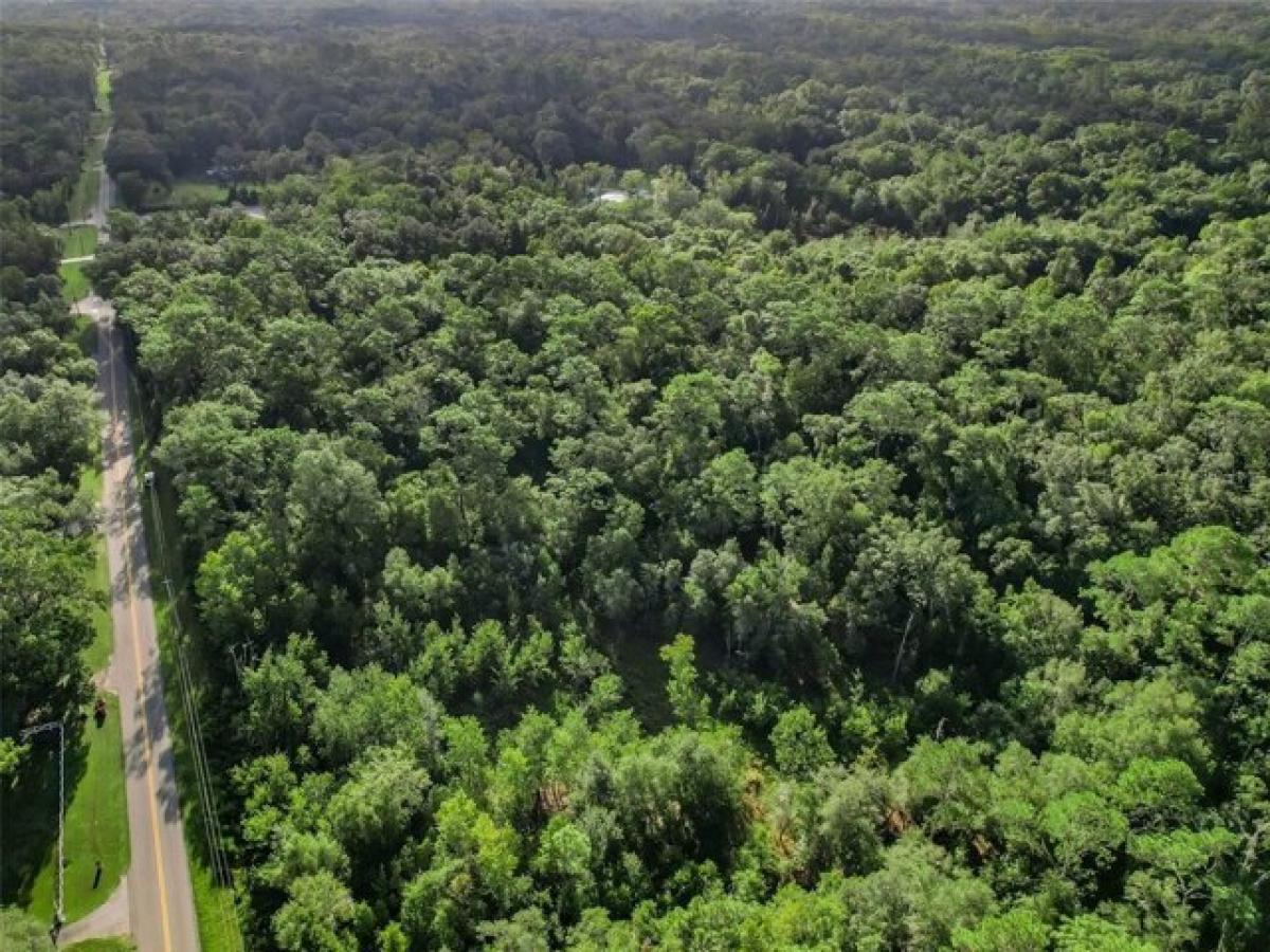 Picture of Residential Land For Sale in Webster, Florida, United States