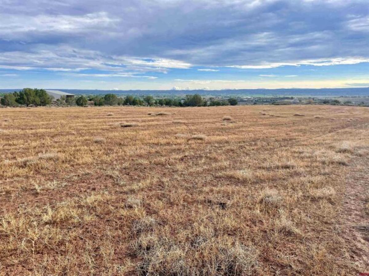 Picture of Residential Land For Sale in Cortez, Colorado, United States