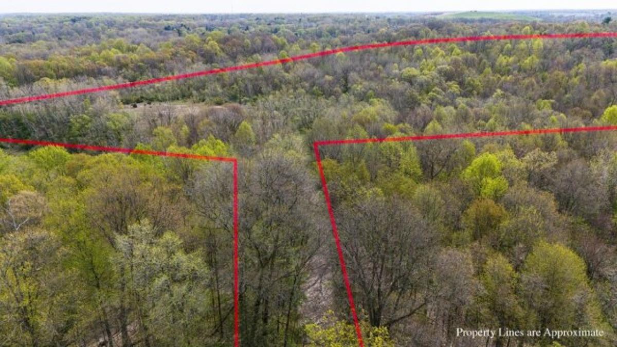 Picture of Residential Land For Sale in Buchanan, Michigan, United States