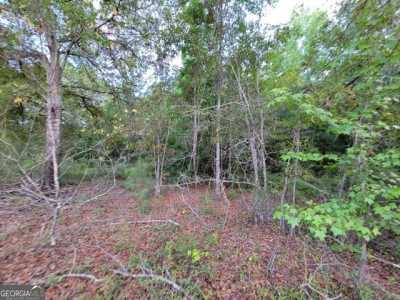 Residential Land For Sale in Millen, Georgia