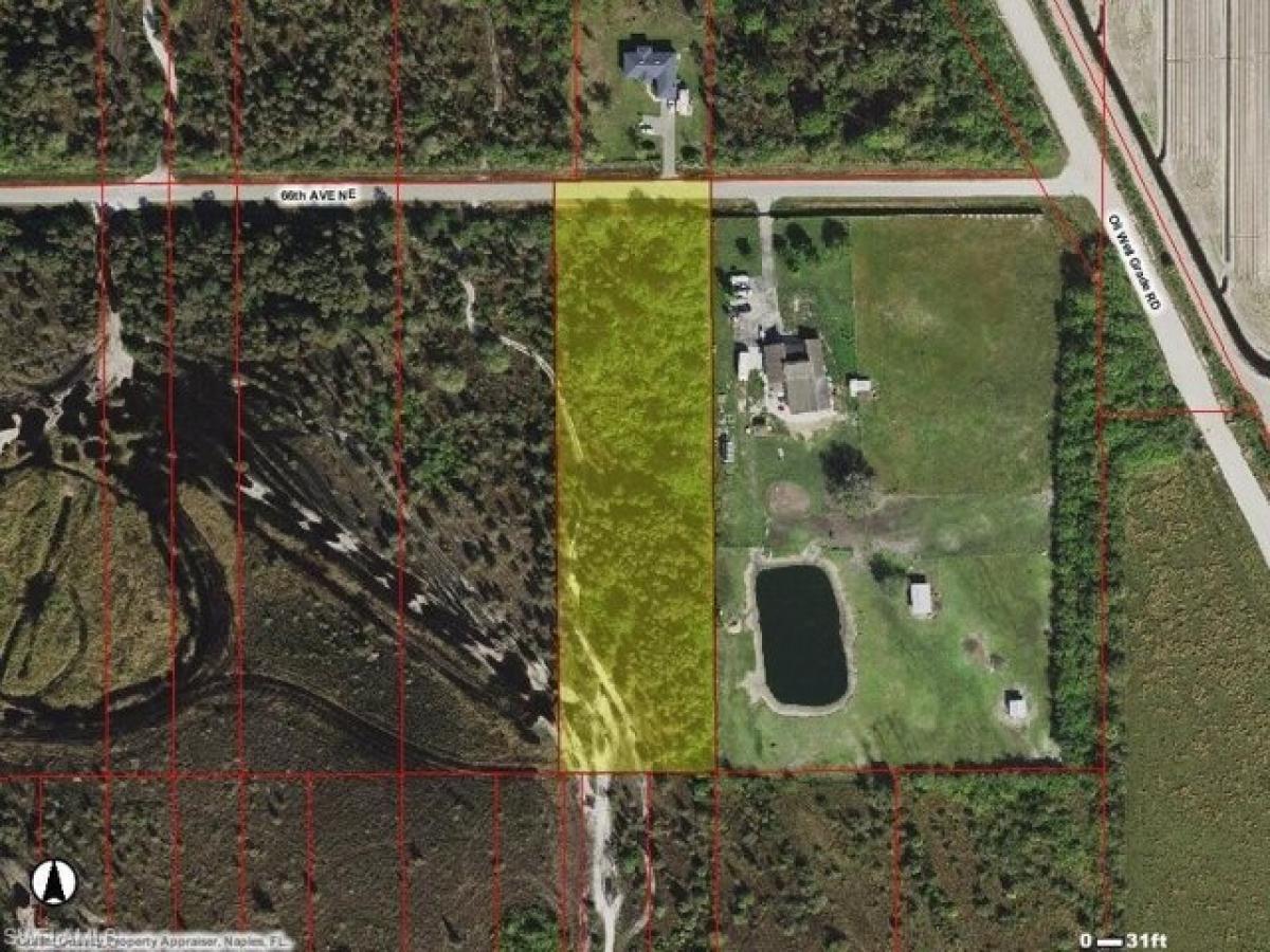 Picture of Residential Land For Sale in Naples, Florida, United States