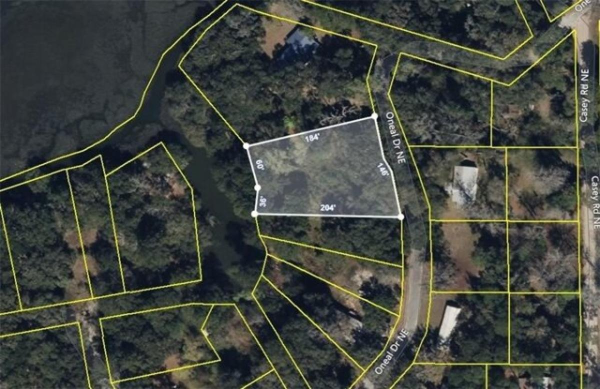 Picture of Residential Land For Sale in Townsend, Georgia, United States