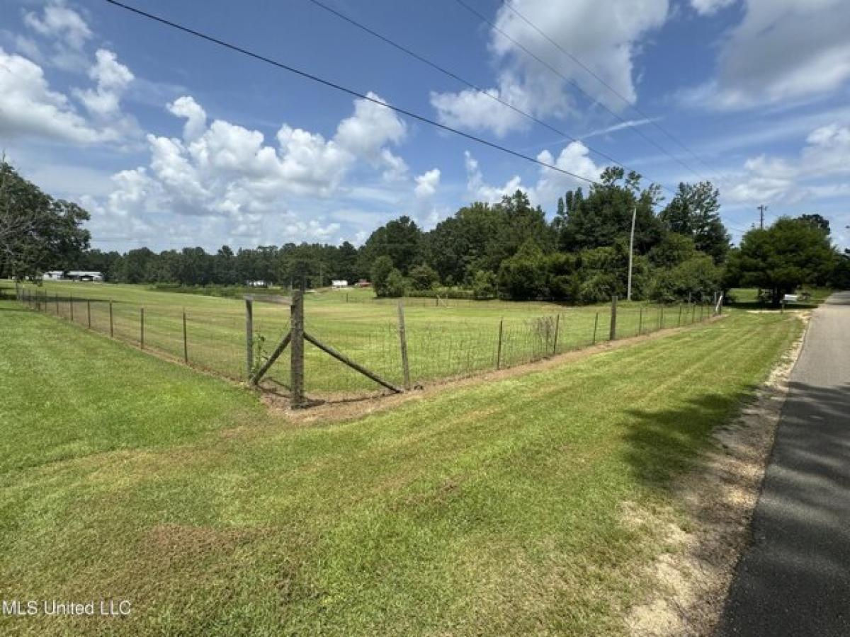 Picture of Residential Land For Sale in Carriere, Mississippi, United States