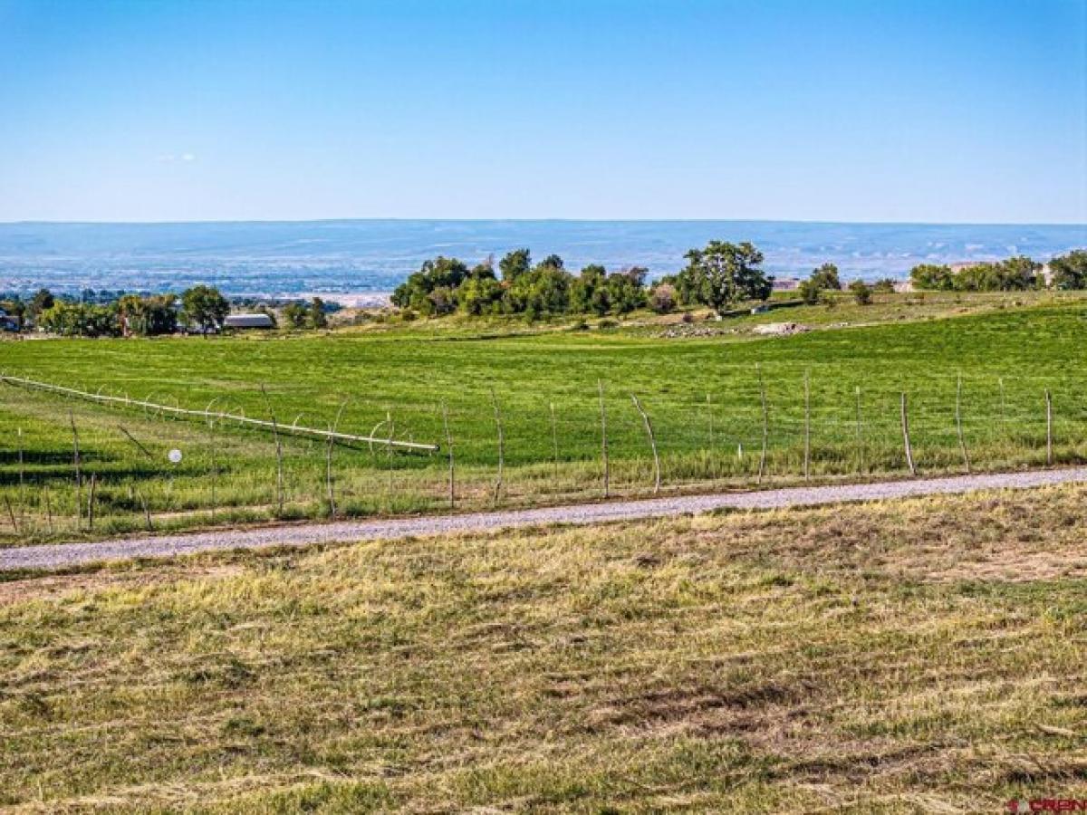 Picture of Residential Land For Sale in Cedaredge, Colorado, United States