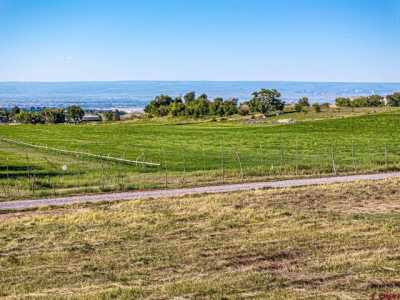 Residential Land For Sale in Cedaredge, Colorado