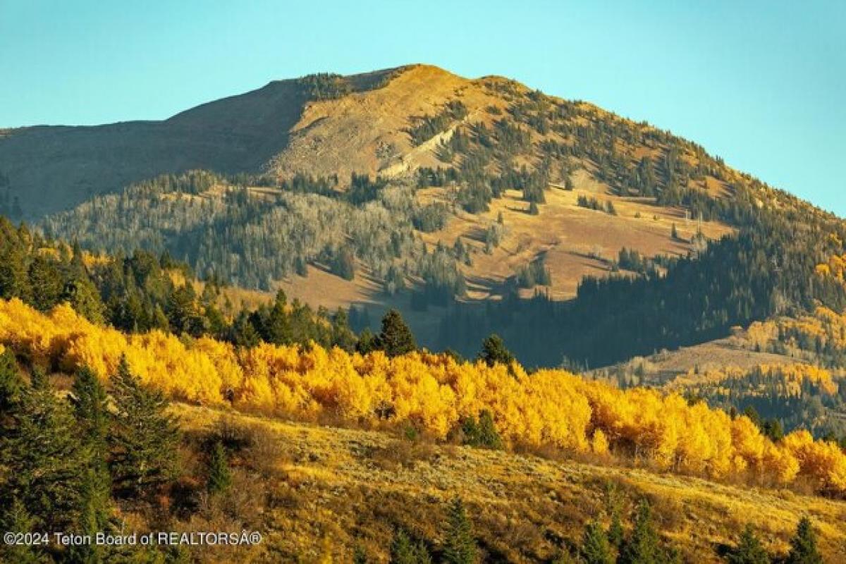 Picture of Residential Land For Sale in Victor, Idaho, United States