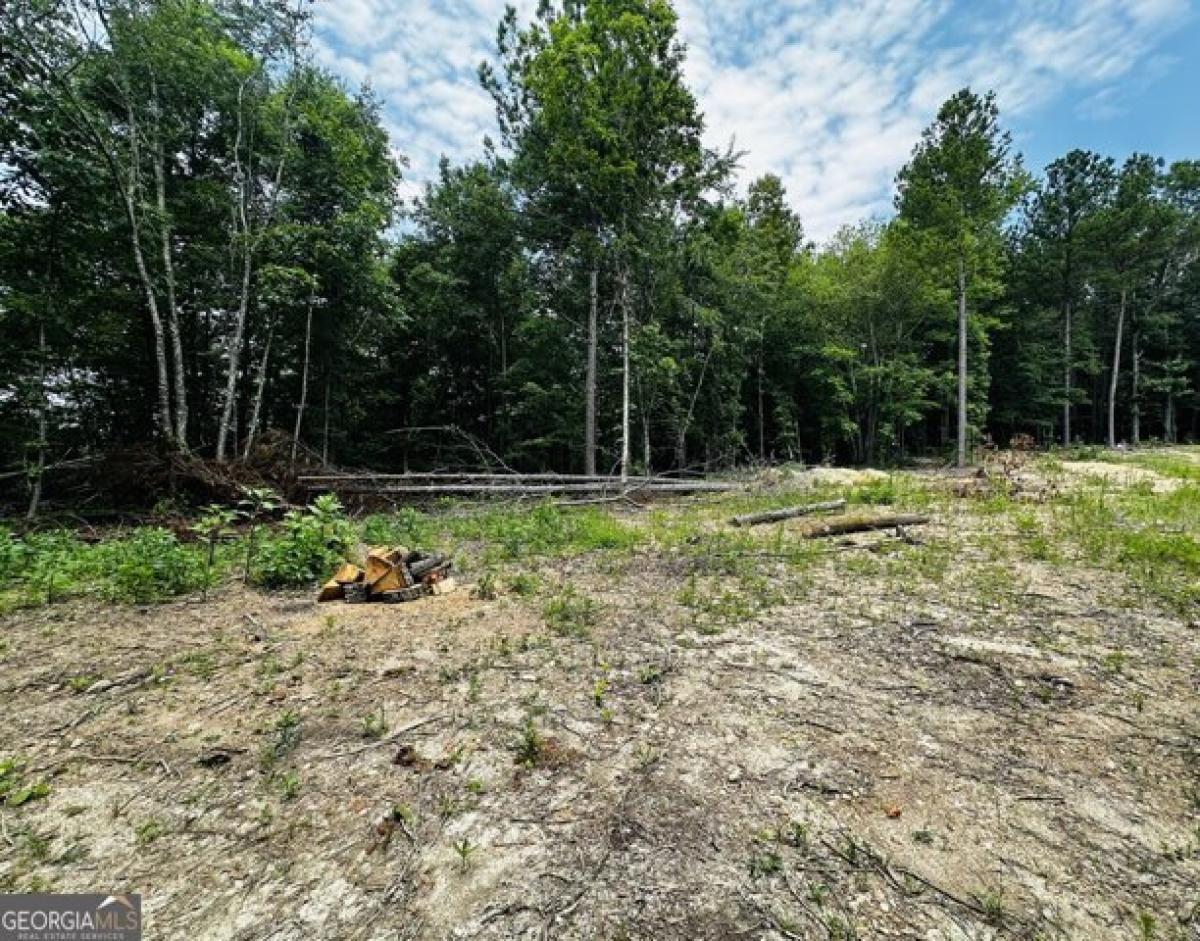 Picture of Residential Land For Sale in Rome, Georgia, United States