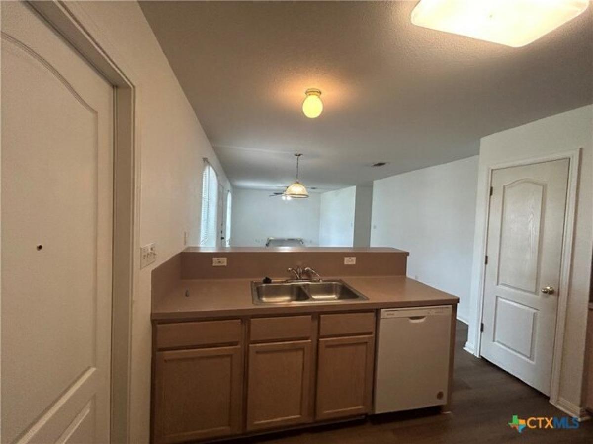 Picture of Home For Rent in New Braunfels, Texas, United States